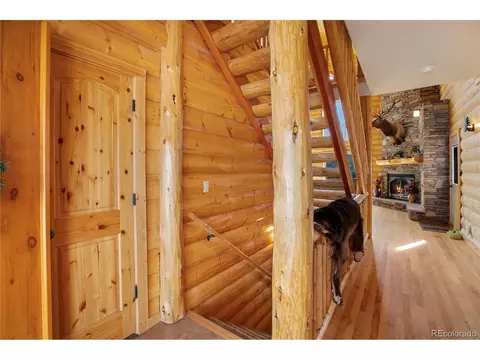 156 Paradiso Rd, Divide, CO 80814 photo 9