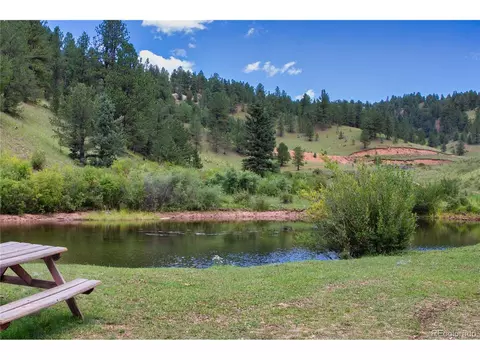 156 Paradiso Rd, Divide, CO 80814 photo 49
