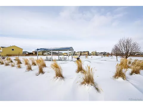 47387 Lilac Ave, Bennett, CO 80102 photo 36