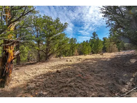 10 Prairie Dog Rd, Cotopaxi, CO 81223