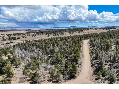 1430 Singletree Rd, Hartsel, CO 80449