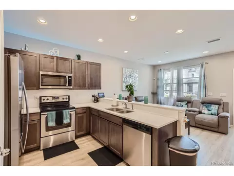 16111 E 47th Pl, Denver, CO 80239 photo 5