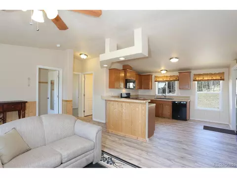 168 Apache Trl, Como, CO 80432 photo 6