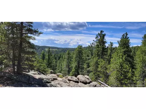 1600 County Road 100j, Ward, CO 80481