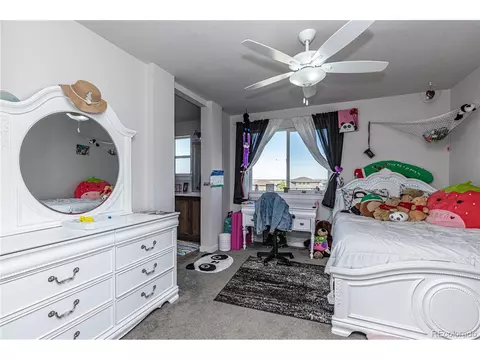 11350 E 162nd Dr, Brighton, CO 80602 photo 22