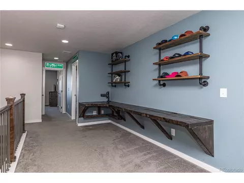 11350 E 162nd Dr, Brighton, CO 80602 photo 21