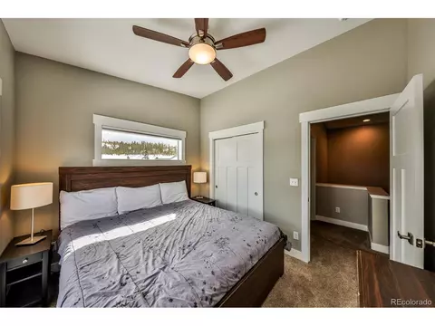 228 Mountain Willow Dr, Fraser, CO 80442 photo 25