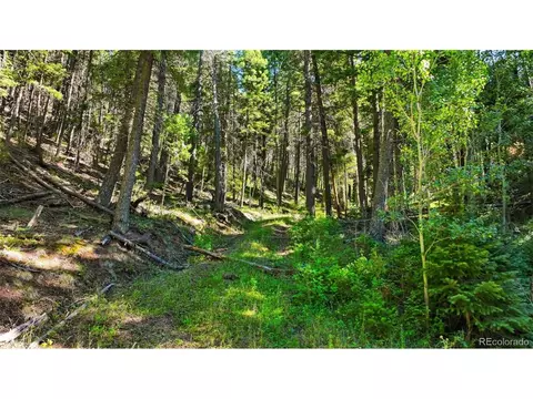 13446 S Firedog Way, Larkspur, CO 80118