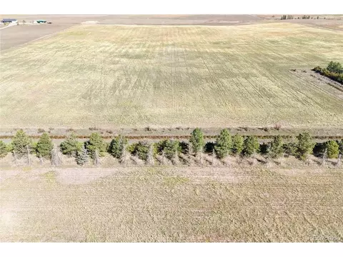Heidemann Ave, Franktown, CO 80116 photo 4