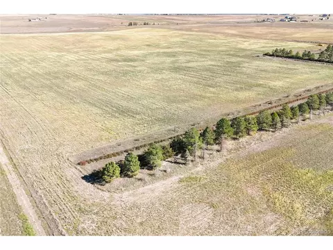 Heidemann Ave, Franktown, CO 80116 photo 7