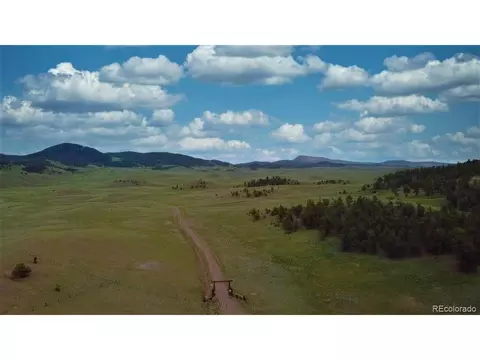 5500 Uxta, Hartsel, CO 80449 photo 33
