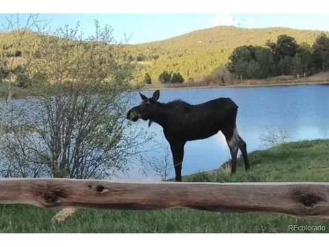 62 Evergreen Rd, Black Hawk, CO 80422 photo 29