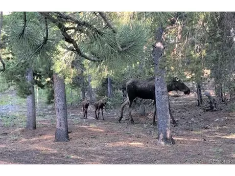 62 Evergreen Rd, Black Hawk, CO 80422 photo 15