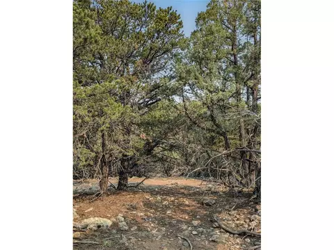 1704 Willow Creek Way, Crestone, CO 81131