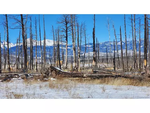 1270 Reed Ln, Fort Garland, CO 81133