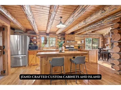 1889 Burland Dr, Bailey, CO 80421 photo 2