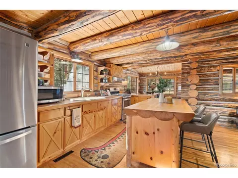 1889 Burland Dr, Bailey, CO 80421 photo 23