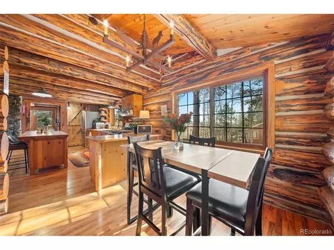 1889 Burland Dr, Bailey, CO 80421 photo 25