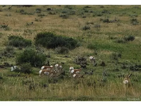1131 Williams Loop, Elizabeth, CO 80107 photo 40