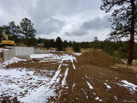 Other - 174 Chickadee Dr, Bailey, CO 80421 photo 3 of 9