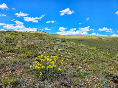 609 Commanche Trl, Hartsel, CO 80449