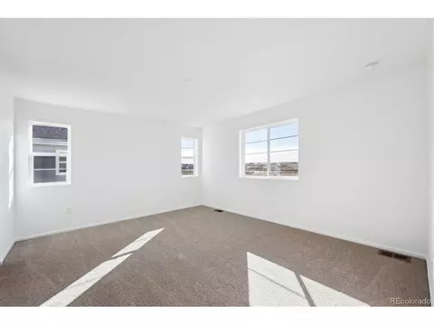 6128 Amerifax Dr, Windsor, CO 80528 photo 16