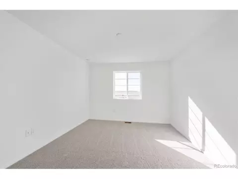 6128 Amerifax Dr, Windsor, CO 80528 photo 14