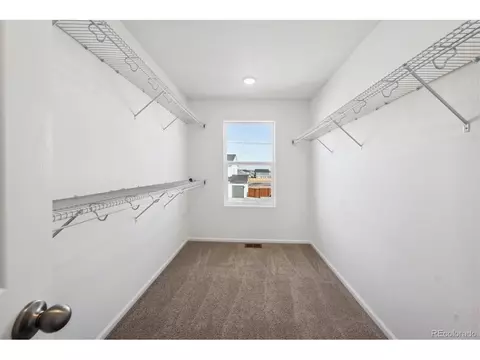 6128 Amerifax Dr, Windsor, CO 80528 photo 18