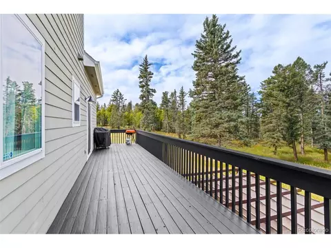 4027 County Road 5, Divide, CO 80814 photo 38