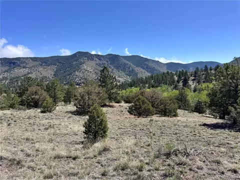 Dilley Road, Westcliffe, CO 81252