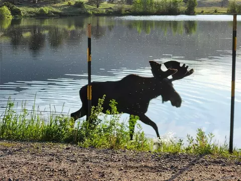 Other - 61 Evergreen Rd, Black Hawk, CO 80422 photo 11 of 13
