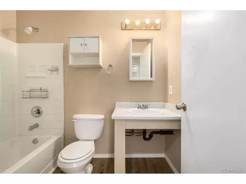 18600 Mitchell Pl, Denver, CO 80249 photo 18