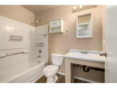 18600 Mitchell Pl, Denver, CO 80249 photo 19