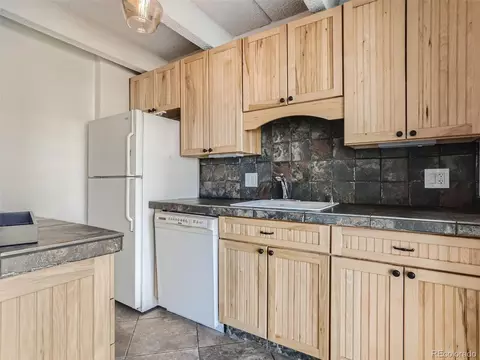 4801 E 9th Ave #401S, Denver, CO 80220 photo 4