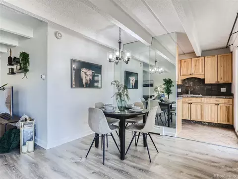 4801 E 9th Ave #401S, Denver, CO 80220 photo 3