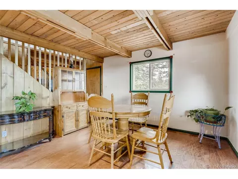 488 Pine Dr, Bailey, CO 80421 photo 6