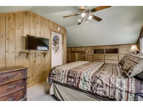 488 Pine Dr, Bailey, CO 80421 photo 16