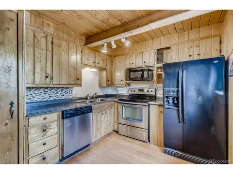 488 Pine Dr, Bailey, CO 80421 photo 8