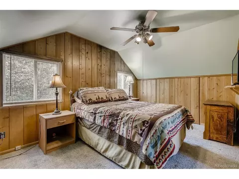 488 Pine Dr, Bailey, CO 80421 photo 14