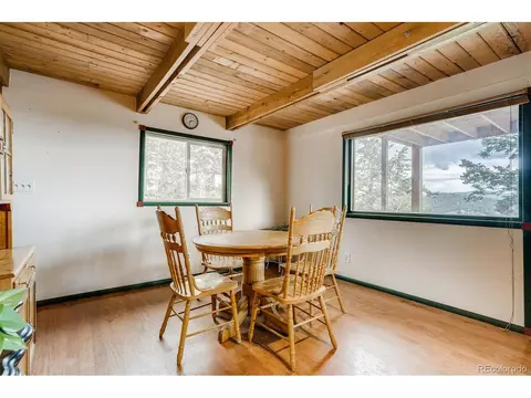 488 Pine Dr, Bailey, CO 80421 photo 7