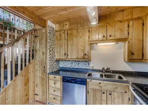 488 Pine Dr, Bailey, CO 80421 photo 11