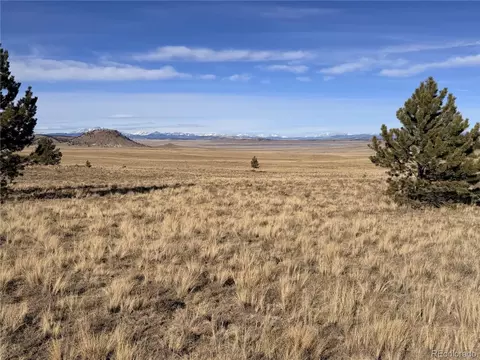 311 Harness Way, Hartsel, CO 80449