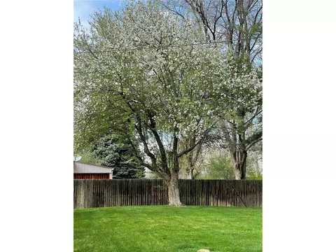 3532 S Grape St, Denver, CO 80237 photo 39