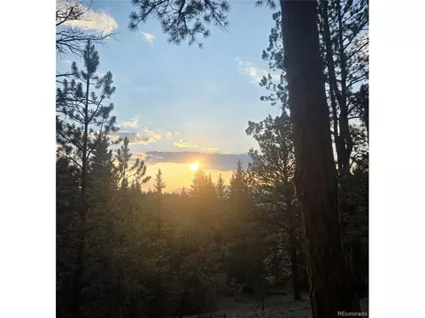 Other - 2185 Mount Evans Blvd, Pine, CO 80470 photo 8 of 8