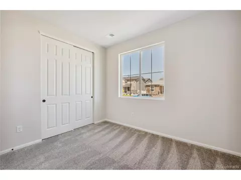 1041 Urial Dr, Severance, CO 80550 photo 4