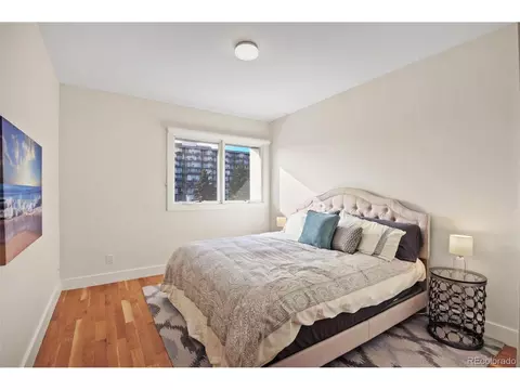 1111 Eudora St, Denver, CO 80220 photo 25