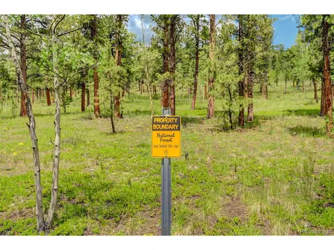 85 Gauthier Rd, Bailey, CO 80421 photo 22