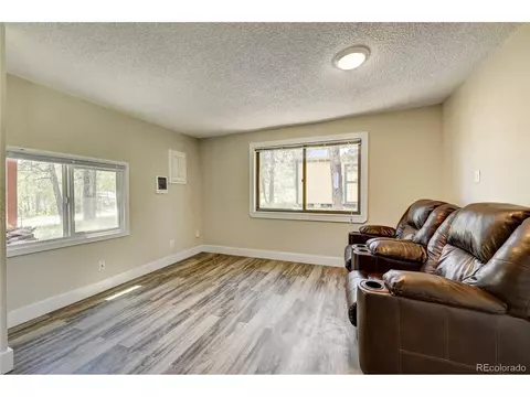 85 Gauthier Rd, Bailey, CO 80421 photo 6