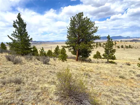 381 Red Cloud Rd, Hartsel, CO 80449