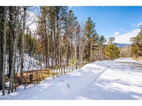 12 Hayes St, Bailey, CO 80421 photo 5